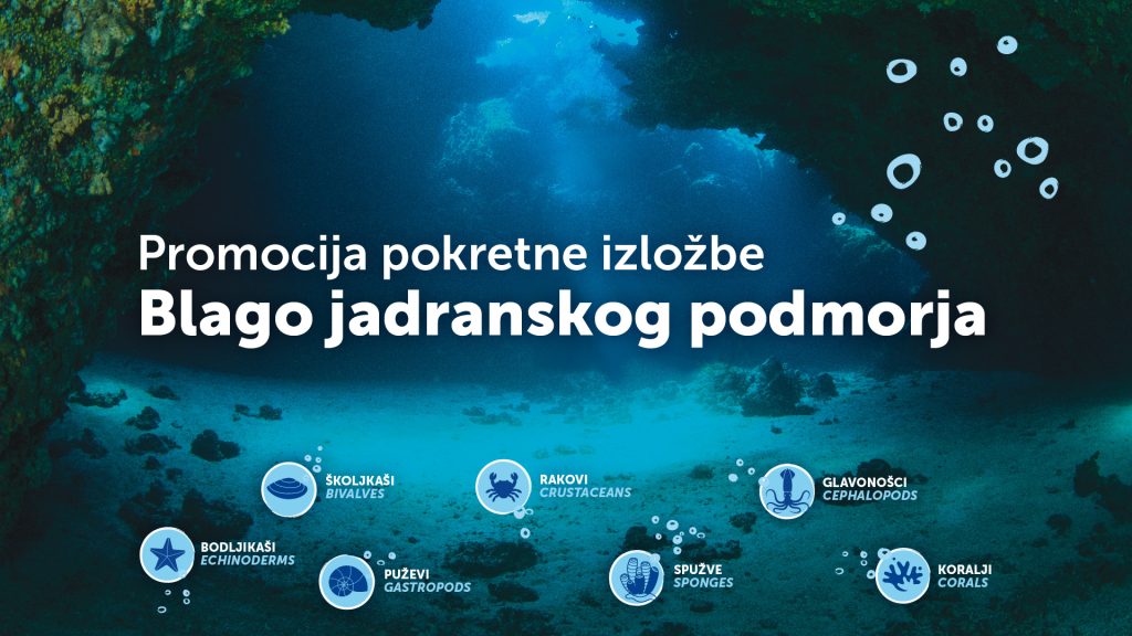 BLAGO JADRANSKOG PODMORJA NA OTOKU KRKU – Izložba 8.-11. svibnja 2026.